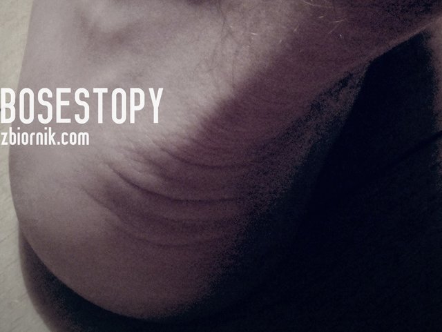 Bosestopy