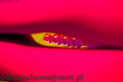 01_16.jpg