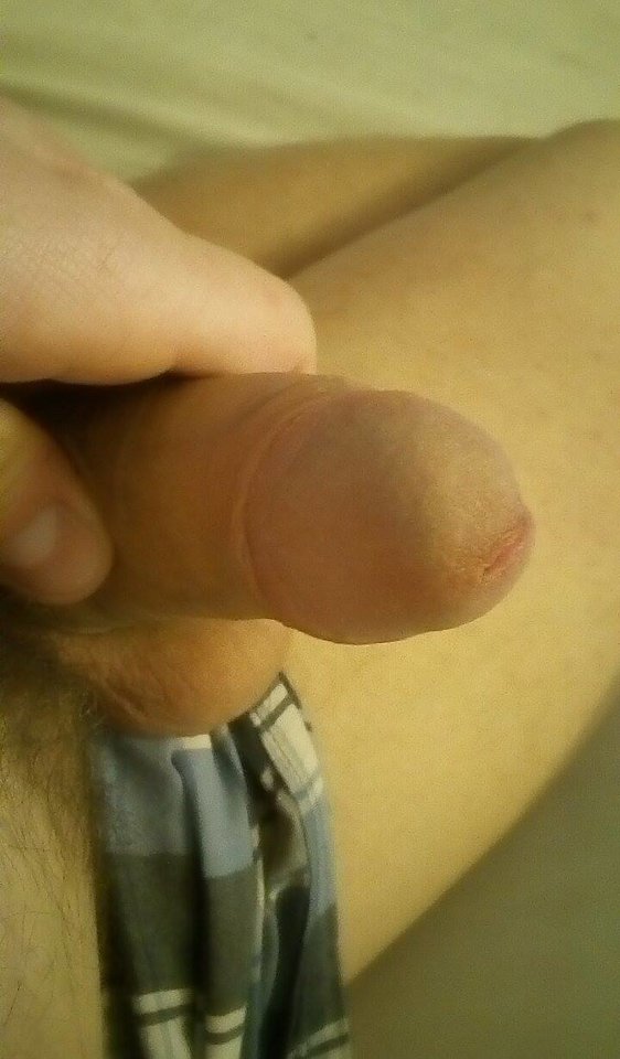 12630835_957104867715582_1306817908_o.jpg - sexipara99