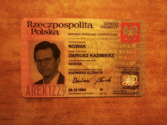 Arek1229