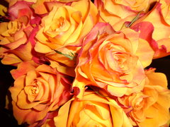 DSC00405.JPG