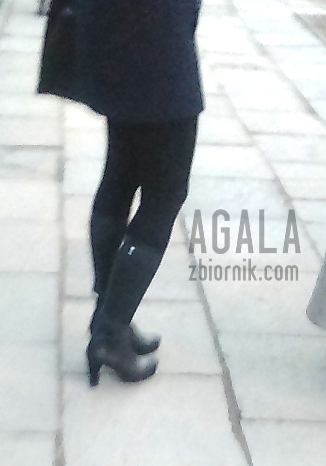 DSC_4284cz.jpg - AGALA