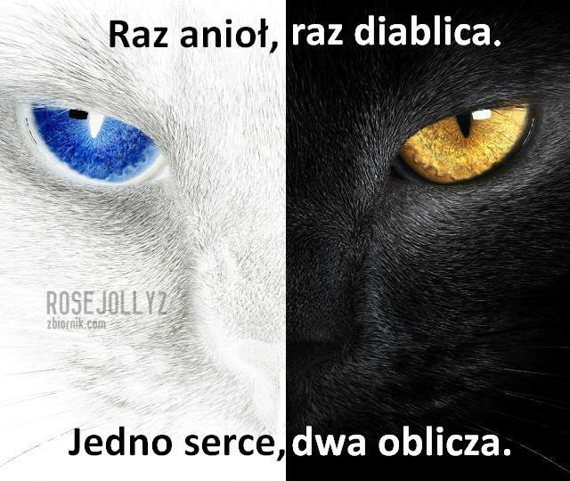 anioł i diabeł1.jpg - Rosejolly2