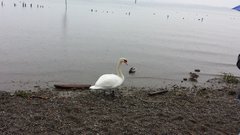 20150223_125827.jpg