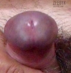g.jpg