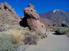 IMG_20140928_111434.jpg