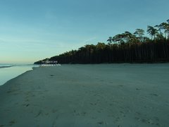 Plaża 