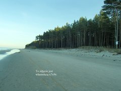 Plaża 
