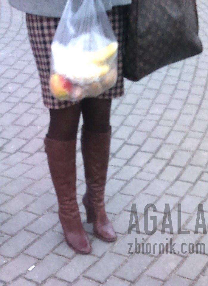DSC_4548v.jpg - AGALA