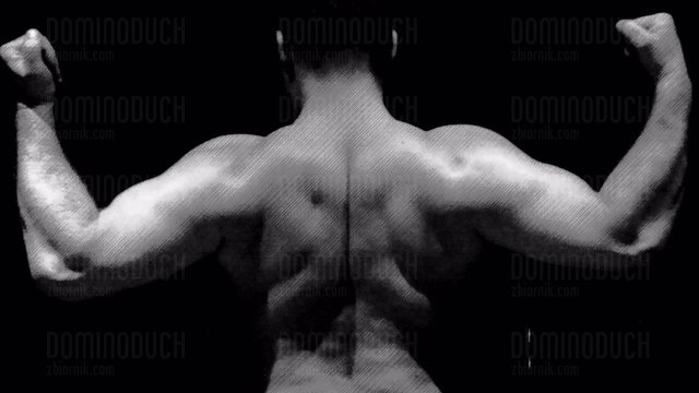dominoduch