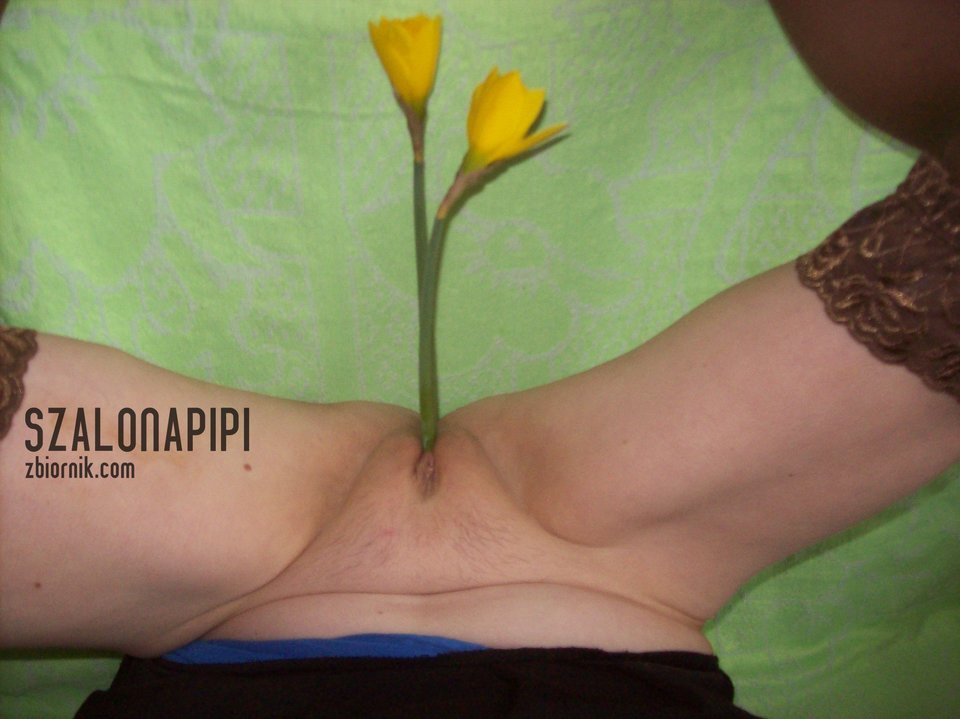 100_1585.JPG - szalonapipi