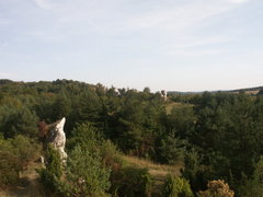 PICT0001.JPG