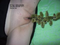 100_1596.JPG
