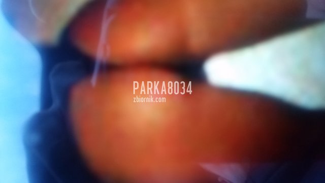 Parka8034