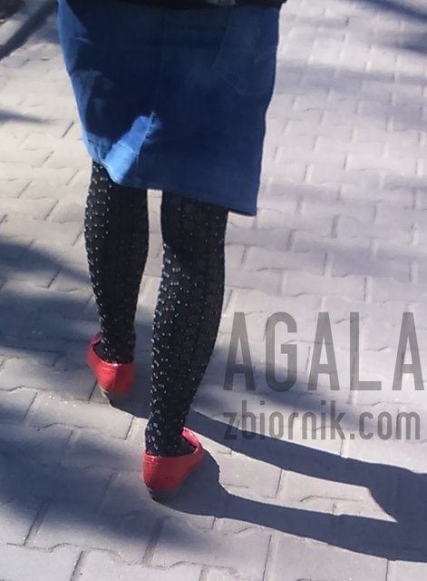 DSC_5222odj.jpg - AGALA