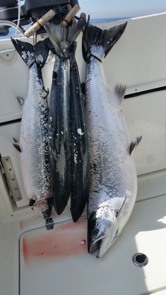 20160402_131441.jpg