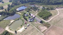 Tak nas jaskółki widzą