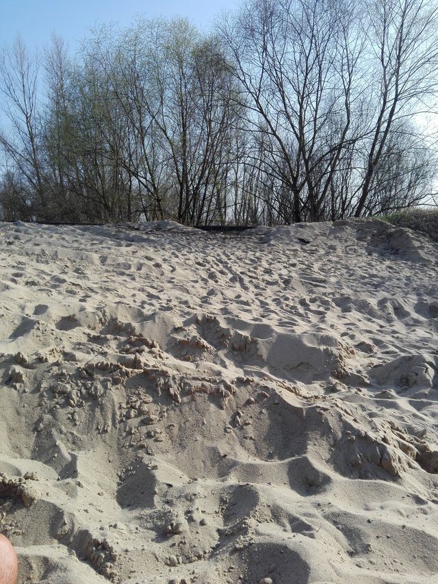donnafelice