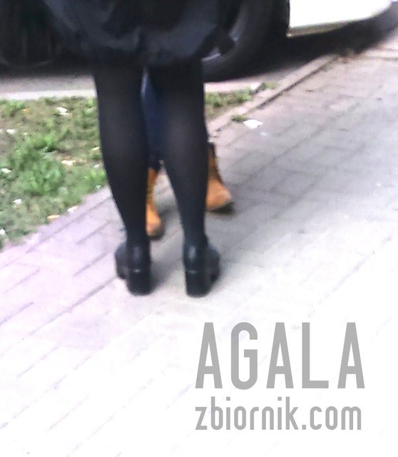 DSC_5466cz.jpg - AGALA