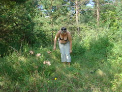 DSC02990.JPG