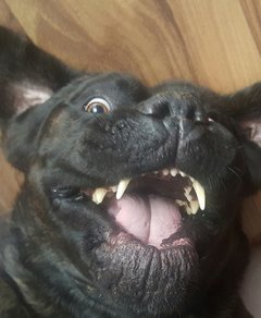 20160408_122716-1.jpg
