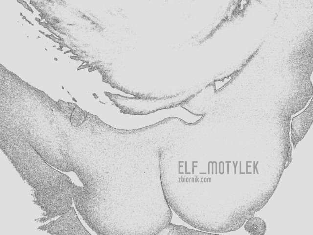 elf_motylek