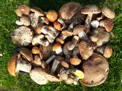 20160519_180304.jpg