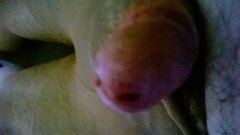 WP_20160517_076.jpg