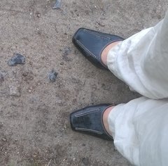 WP_20160517_028.jpg