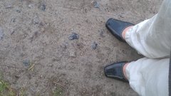 WP_20160517_027.jpg