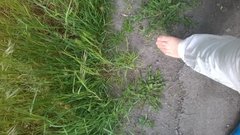 WP_20160517_047.jpg