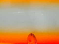 IMG_20160521_184956.jpg