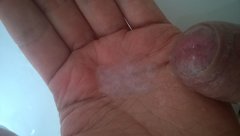 WP_20160521_005.jpg
