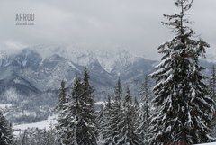 DSC_2999.JPG
