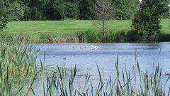 DSCF1078.JPG