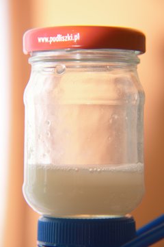 5maja2016.jpg