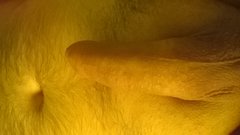 WP_20160609_004.jpg