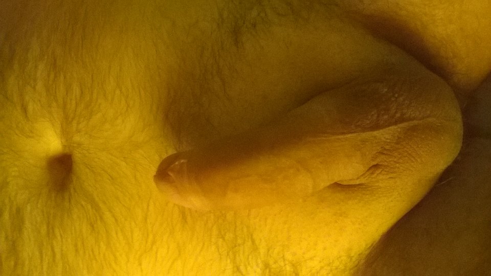 WP_20160609_006.jpg - malymiaczek