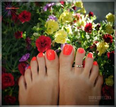 flowers #10