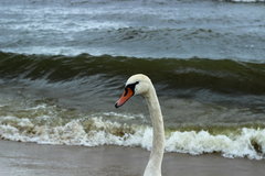 IMG_2895.JPG