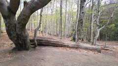 20160507_104908.jpg