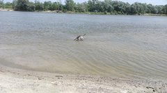 IMG_20160617_120226.jpg