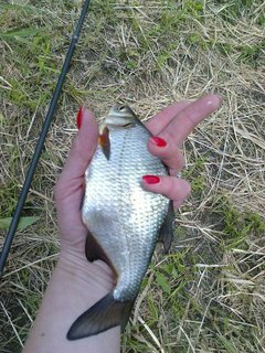 IMG_0938.JPG