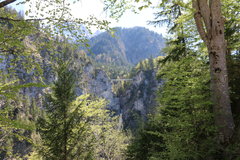 IMG_0780.JPG