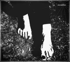 Feetart #098