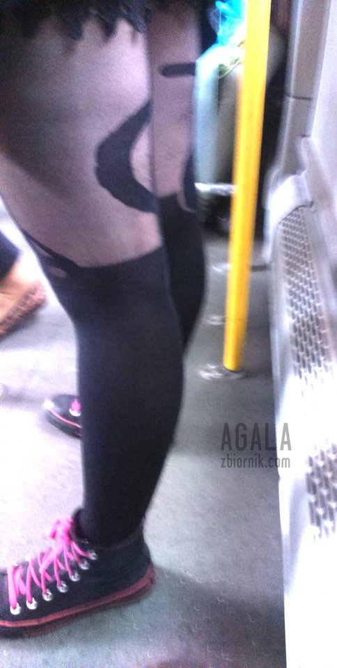 DSC_7246odj.jpg - AGALA