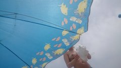 DSC_1009.JPG