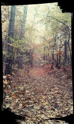 IMG_20151103_193602.jpg