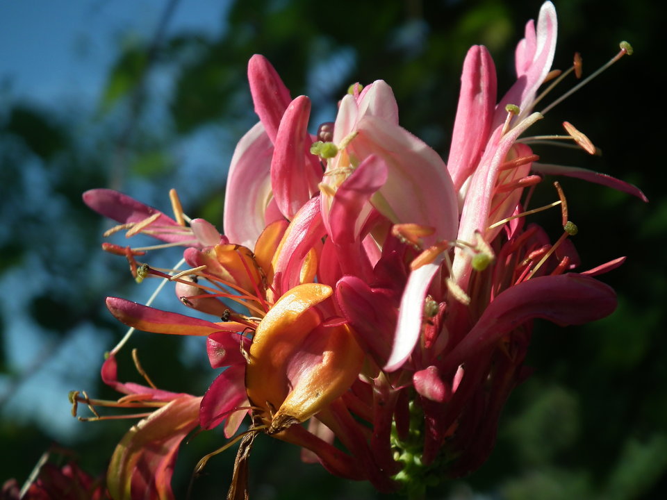 DSCF0394.JPG - NauczeCieLatac