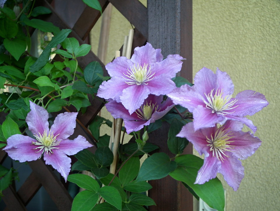 DSCF0407.JPG - NauczeCieLatac